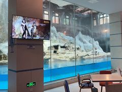 -帝企鹅自助餐厅•儿童岛•真企鹅(长隆企鹅酒店)