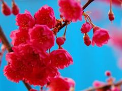 -花溪公园