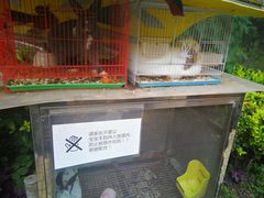 -普陀早教中心(阳光分中心)