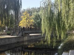 -元大都城垣遗址公园