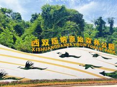 -西双版纳原始森林公园