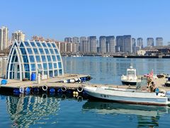 -日丰园海肠水饺·老字号大连海鲜(小平岛总店)