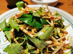 -云海肴·汽锅鸡·云南菜(高德置地店)
