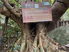 -七仙岭温泉国家森林公园