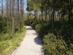 iphone_upload_pic-新江湾城公园