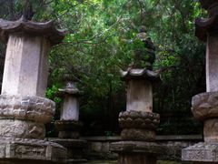 -四门塔风景区