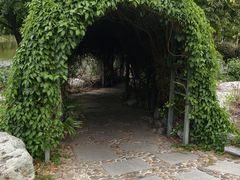 -东莞植物园