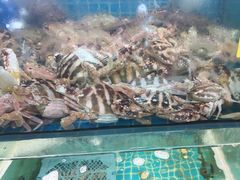 -坛南湾阿强农家乐.海鲜大排档老字号(福州地标美食店)