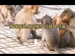 -昆明动物园