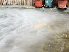 -胖哥俩肉蟹煲(济南世茂国际广场店)