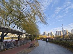 -南翠屏公园