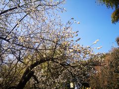 -宝岩生态观光园