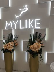 -深圳美莱医疗美容医院