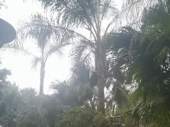 -鱼凫国都大酒店温泉