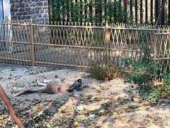 -苏州上方山国家森林公园