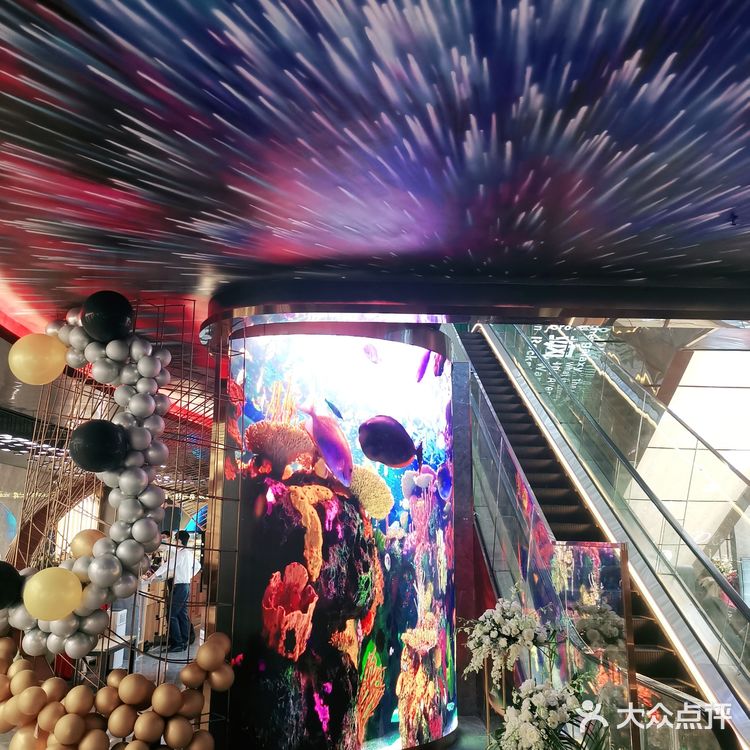 太阳宫☀️的新鲜事