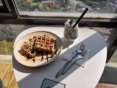 奥利奥星辰-猫小主咖啡·猫咖cat cafe(福田店)