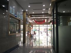 -瑞派名望志远动物医院·猫科·內科·异宠专科(直港大道店)