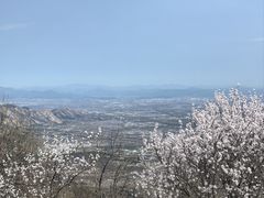 -北京鹫峰国家森林公园