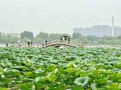 -济南大明湖景区