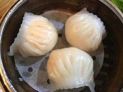 -糖朝(尖沙咀店)