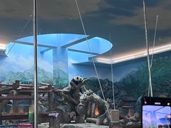 -武汉动物园