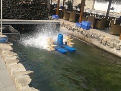 -京北渔家傲