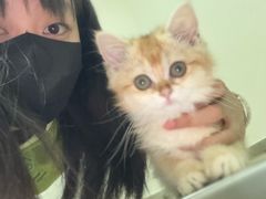 -爱妮康宠物医院·干细胞免疫细胞·肿瘤·心脏(张江店)