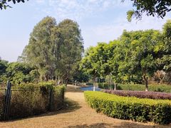 -东莞植物园