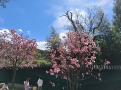 -红螺寺