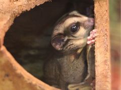 -上海大自然野生昆虫馆