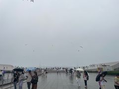 -星海广场