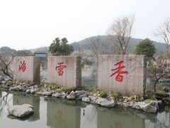 -香雪海