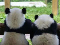 -飞童凡响艺术学校(松江区九里亭校区)