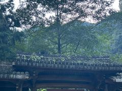 -刘伯温故里景区百丈漈