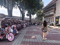 -马六甲鸡场街