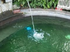 -杭州第一世界大酒店·云曼温泉