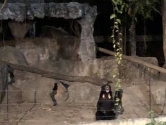 -清迈夜间动物园