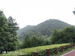 -桃花岭景区