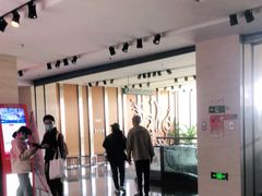 -天幕新彩云国际影城(激光巨幕店)