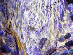 -沈阳海洋探索中心