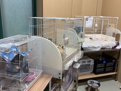 -美美宠物诊疗中心·异宠·骨科(滨江东信分院)
