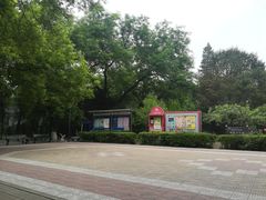 -北京大学燕东园