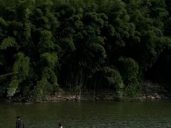 -泽雅景区