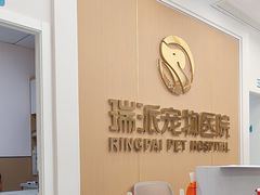 -瑞派康怡24h宠物医院·犬猫医疗中心·微创绝育(瑞景分院)