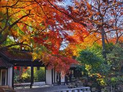 -惠山古镇·寄畅园