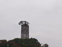 -江心屿景区