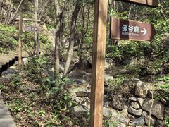 -大岭沟猕猴桃谷风景区