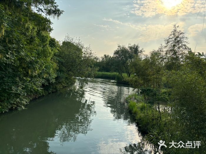 西溪国家湿地公园图片