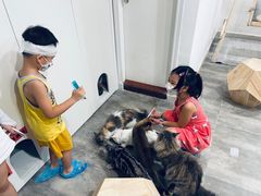 -楼上猫咖(罗湖店)